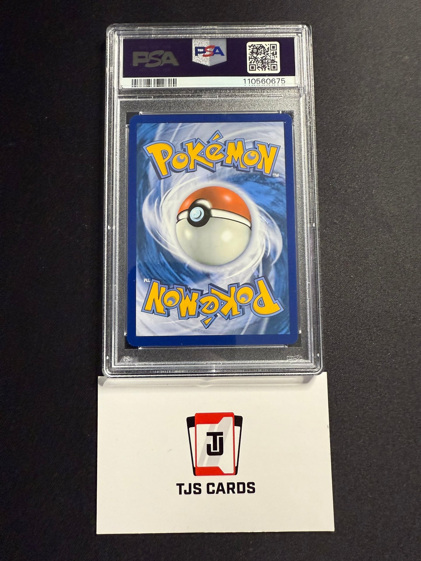 Phanpy - PSA 10 - IR Surging Sparks 205/191 - Pokemon