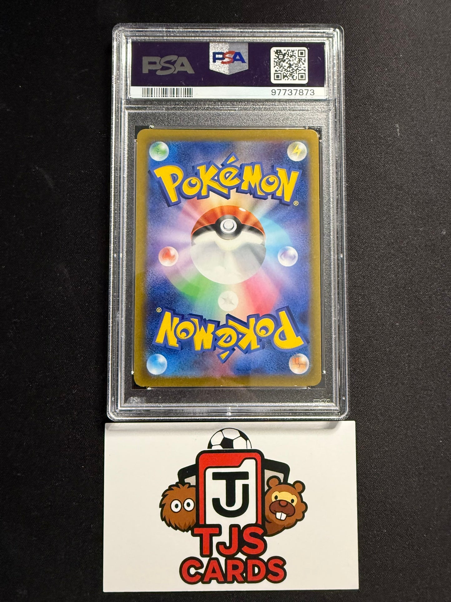 Roxanne - PSA 10 - 242/172 s12a VSTAR Universe - Pokemon
