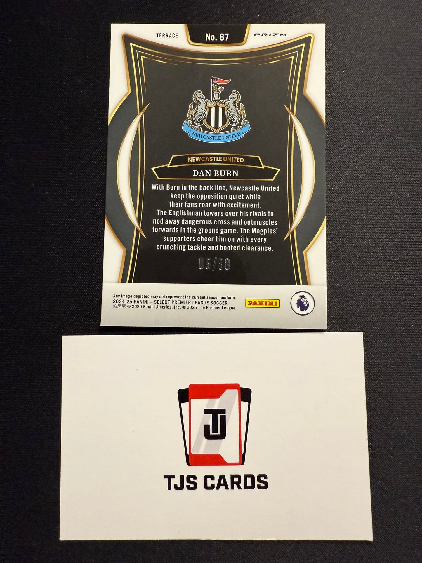 Dan Burn - Red Wave /88 - Panini Select Premier League 2024/25