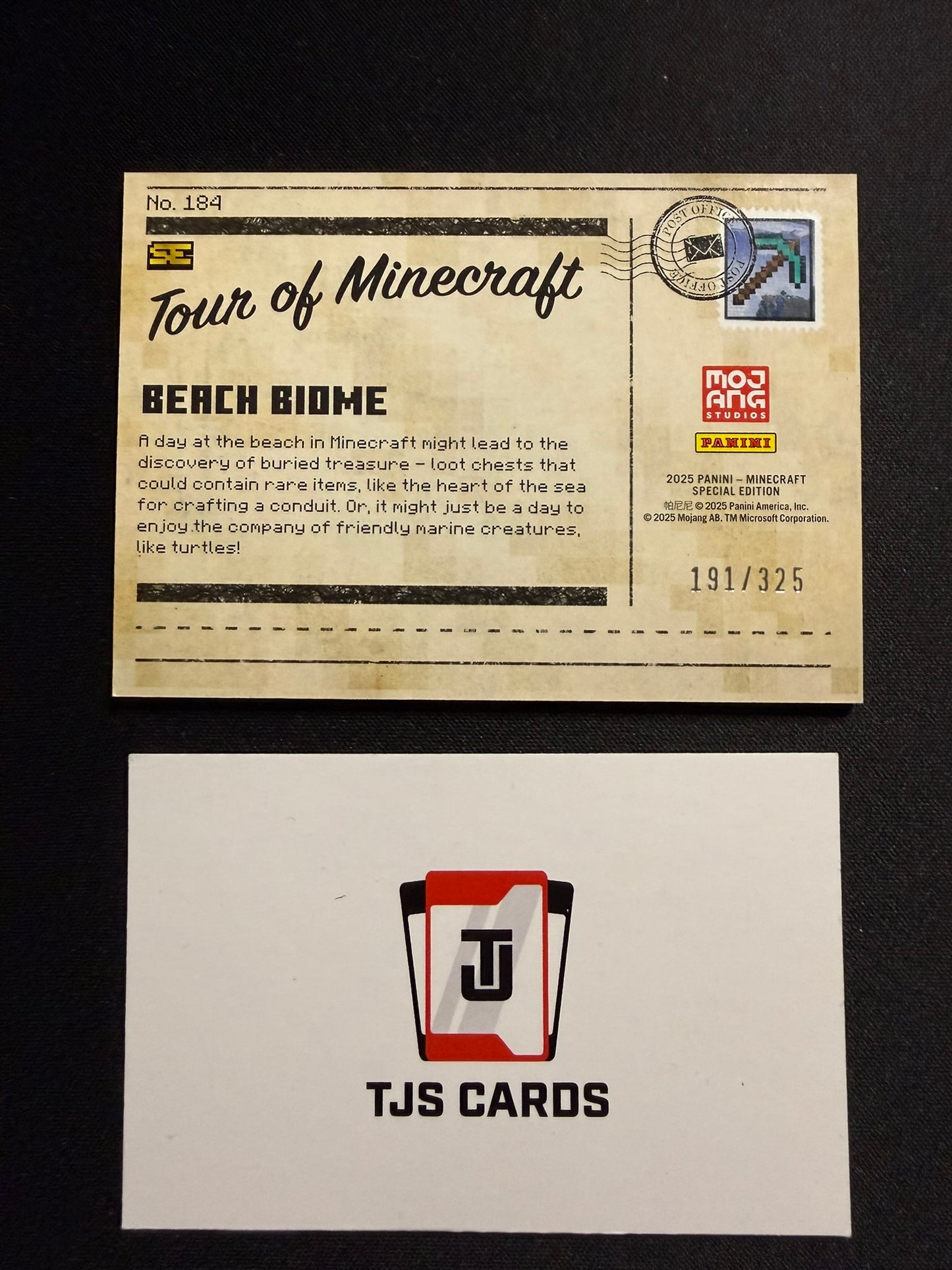 Beach Biome - Tour Of Minecraft /325 - Panini Minecraft Special Edition 2025