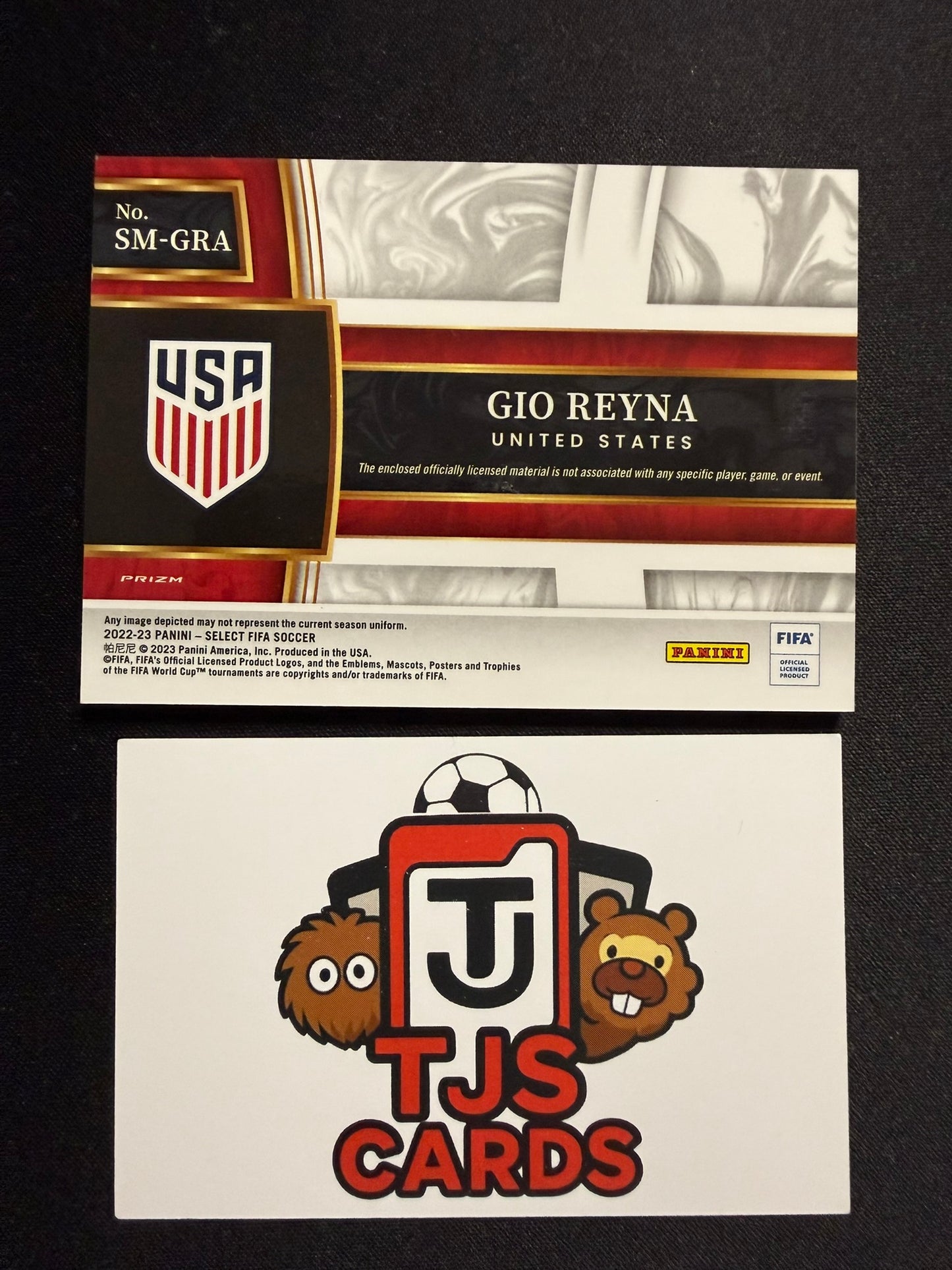 Gio Reyna - Patch - Panini Select FIFA 2022/23