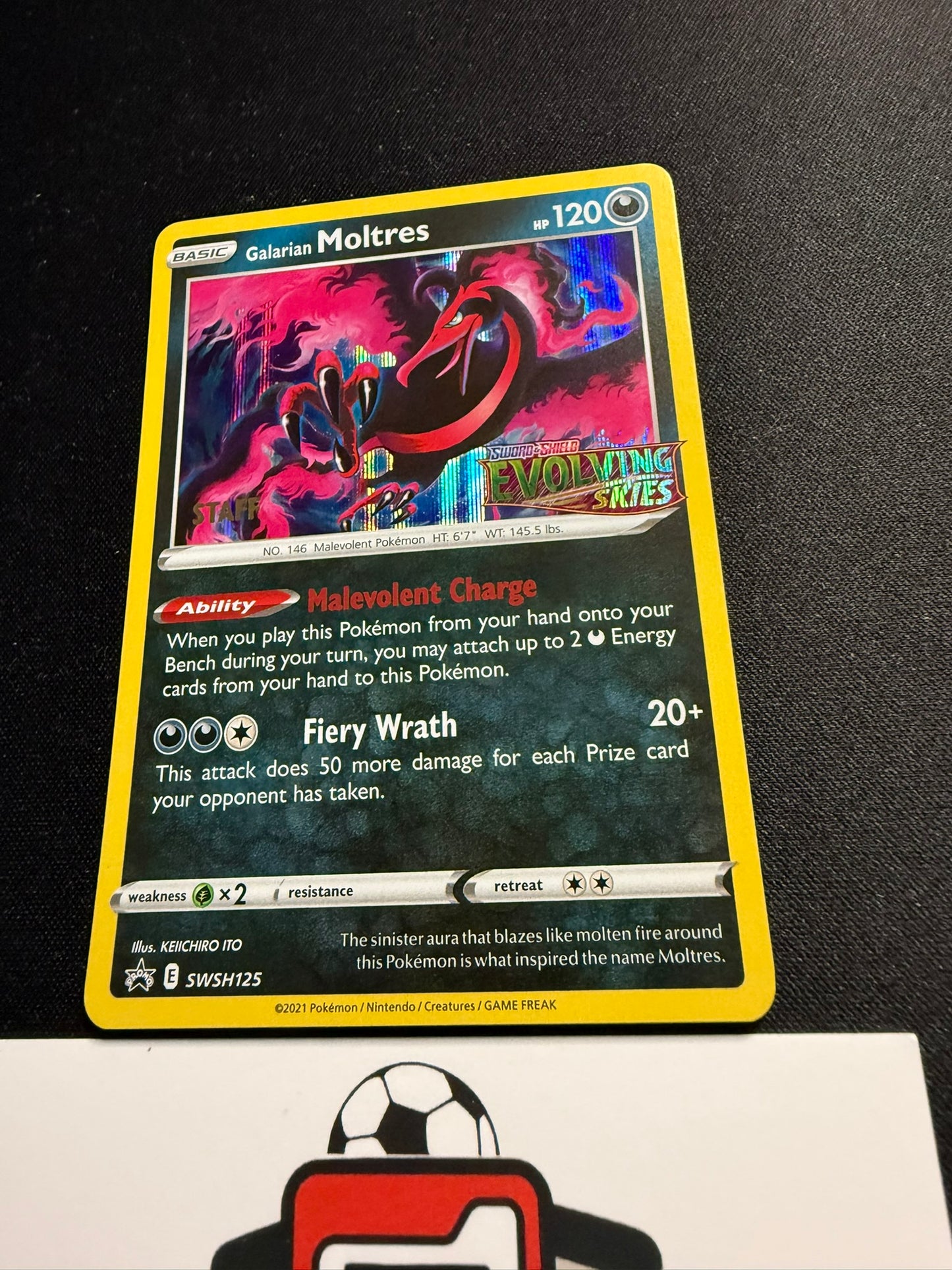 Galarian Moltres - Evolving Skies Staff Promo SWSH125 - Pokemon