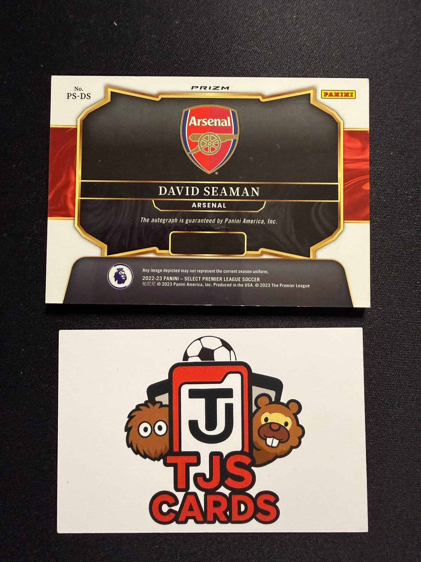 David Seaman - Auto - Panini Select Premier League 2022/23