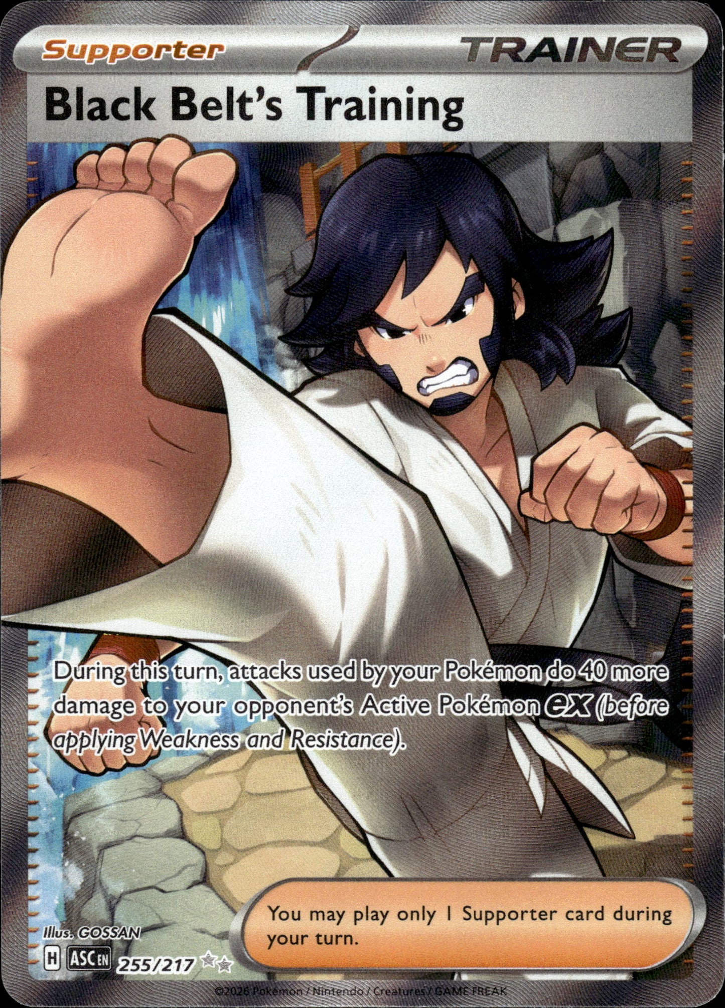 Black Belt's Training - Ascended Heroes 255/217 - Pokemon
