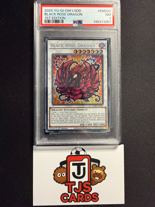 Black Rose Dragon - PSA 7 - Secret Rare 1st Edition L5DD-ENS02 - YuGiOh