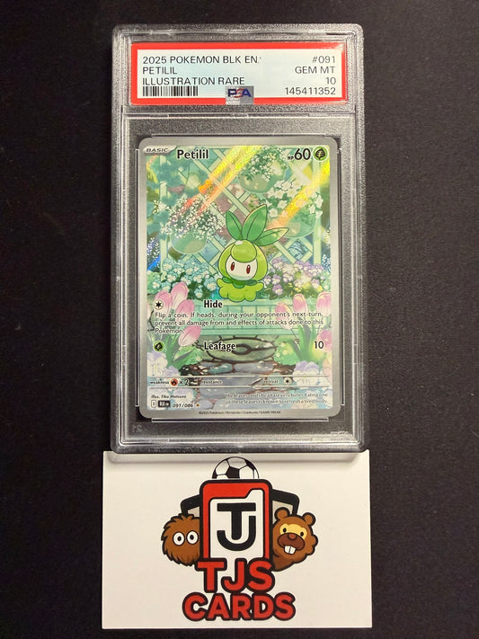 Petilil - PSA 10 - Black Bolt 091/086 - Pokemon