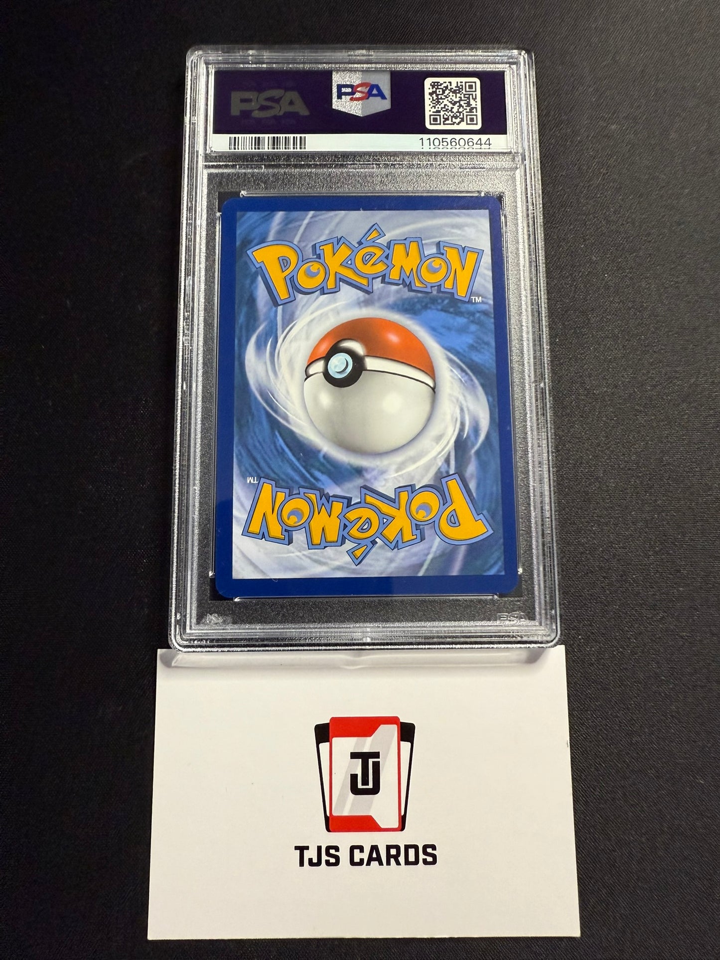 Lucario VSTAR - PSA 10 - Crown Zenith Promo SWSH291 - Pokemon