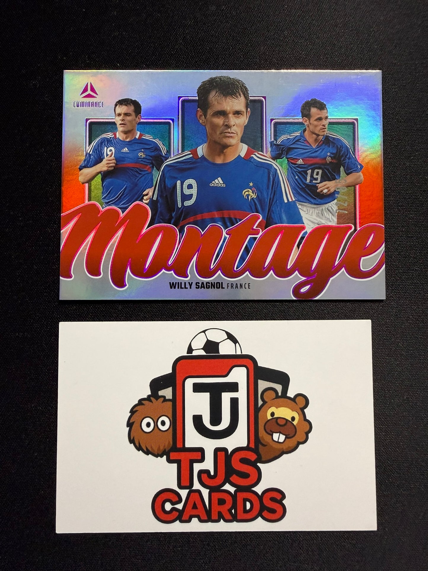 Willy Sagnol - Pink Montage /85 - Panini Luminance France 2026