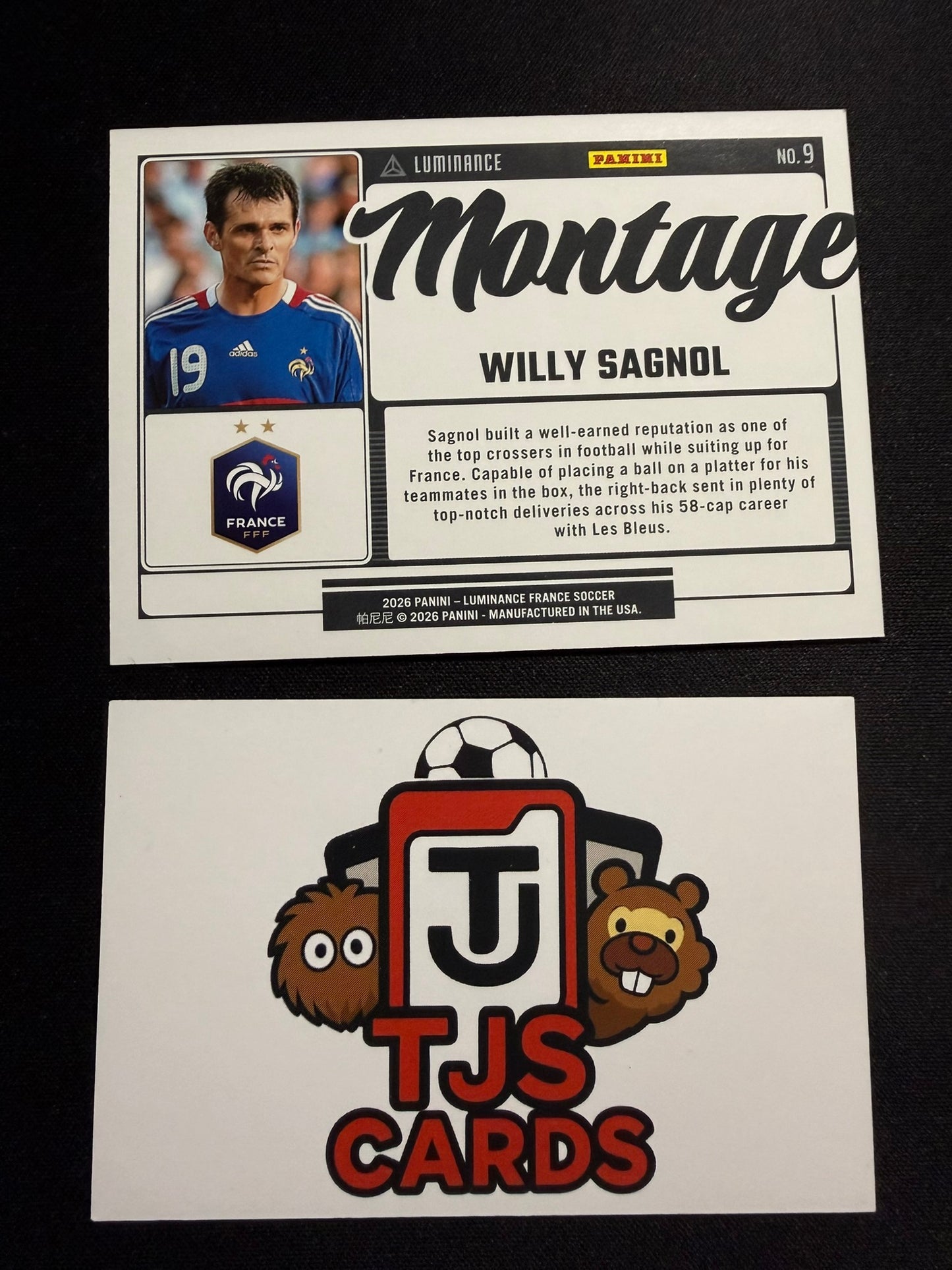 Willy Sagnol - Pink Montage /85 - Panini Luminance France 2026