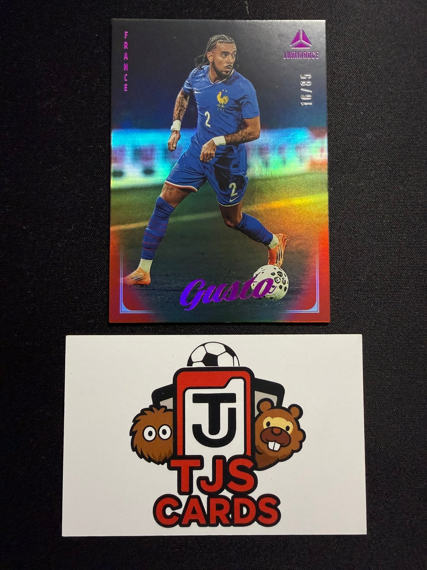 Malo Gusto - Pink /85 - Panini Luminance France 2026