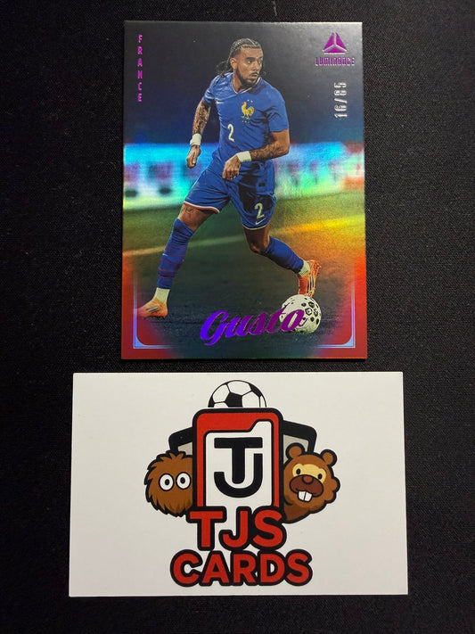 Malo Gusto - Pink /85 - Panini Luminance France 2026