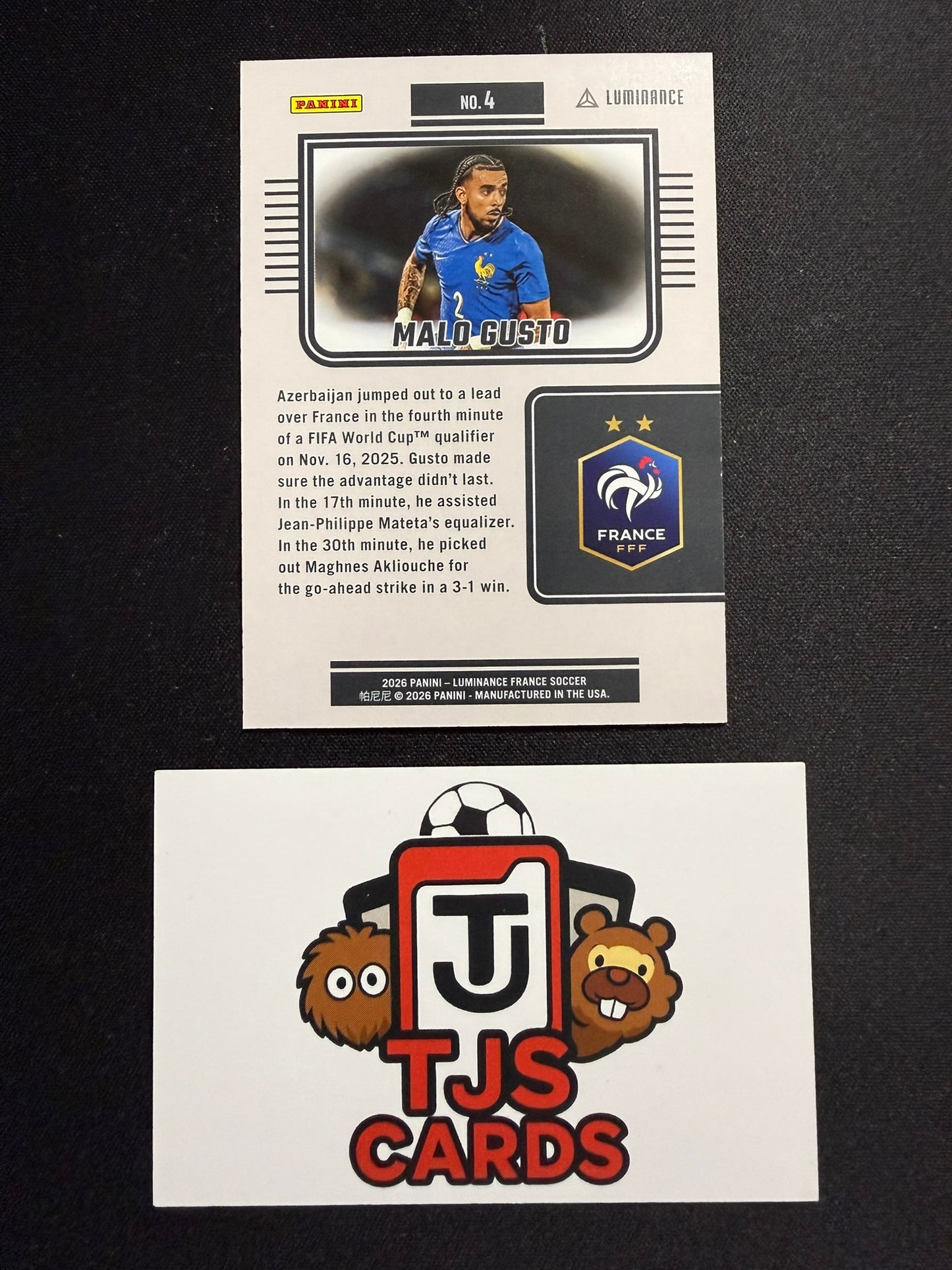 Malo Gusto - Pink /85 - Panini Luminance France 2026