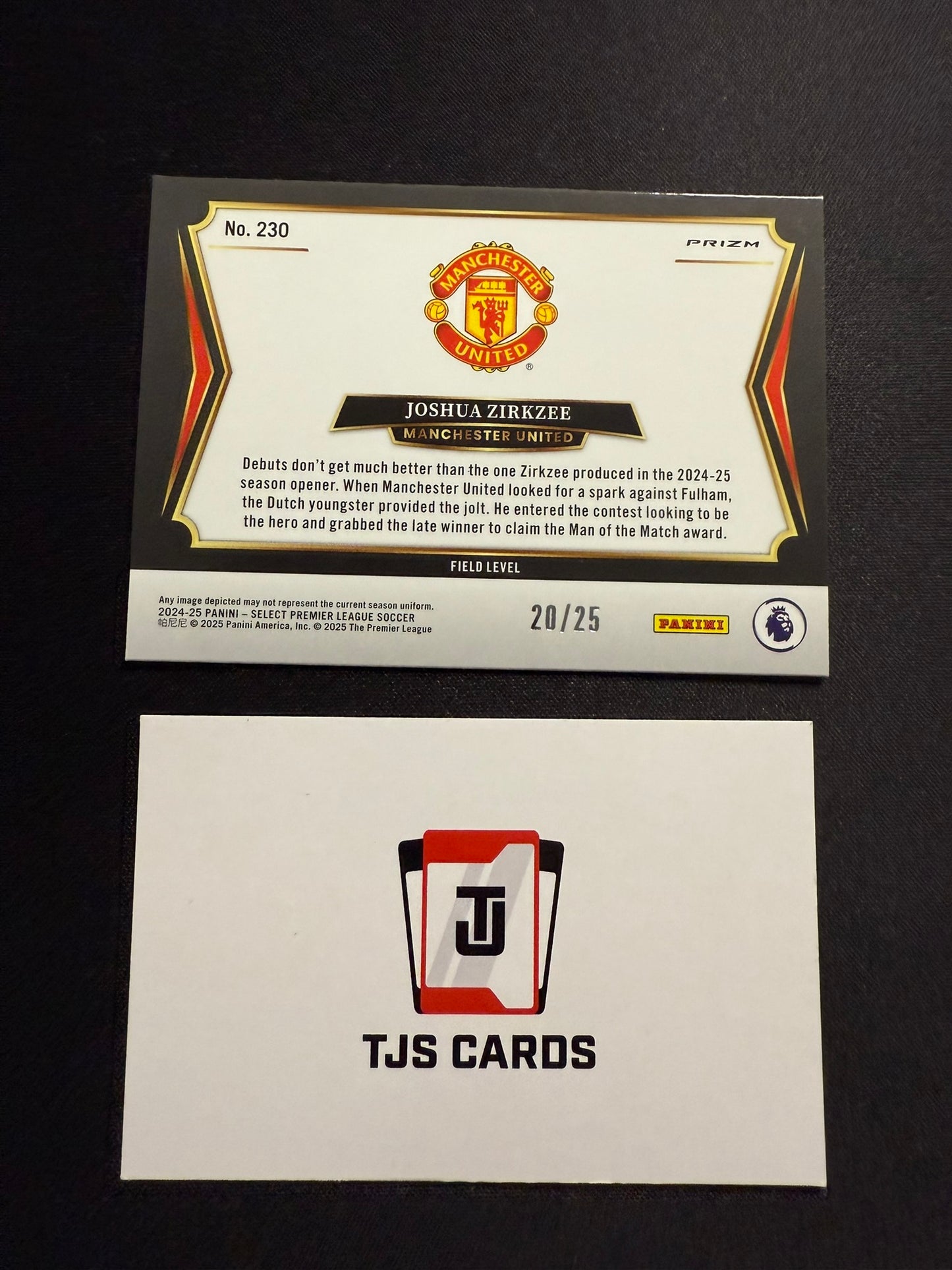 Joshua Zirkzee - Tie-Dye Field Level /25 - Panini Select Premier League 2024/25