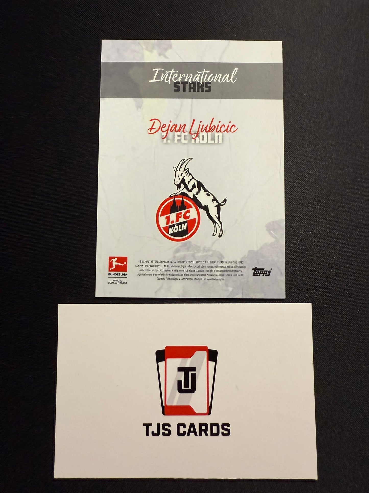 Dejan Ljubicic - Rainbow /5 - TOPPS Bundesliga International Stars 2023/24