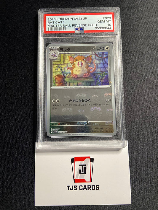 Raticate - PSA 10 - Master Ball Reverse sv2a 151 020/165 - Pokemon