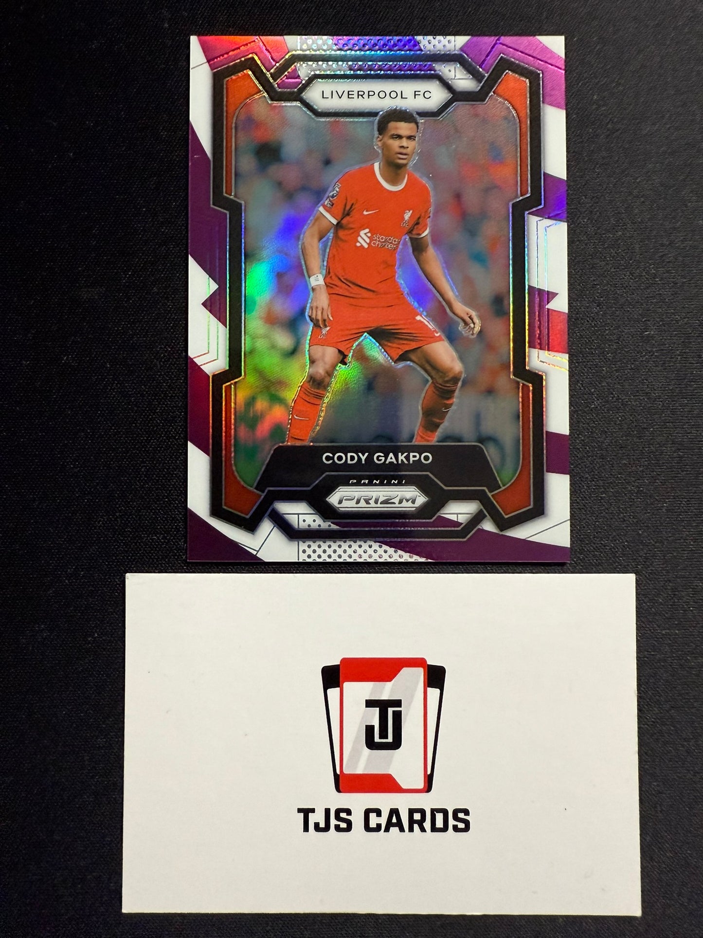 Cody Gakpo - Purple & White /92 - Panini Prizm Premier League 2023/24