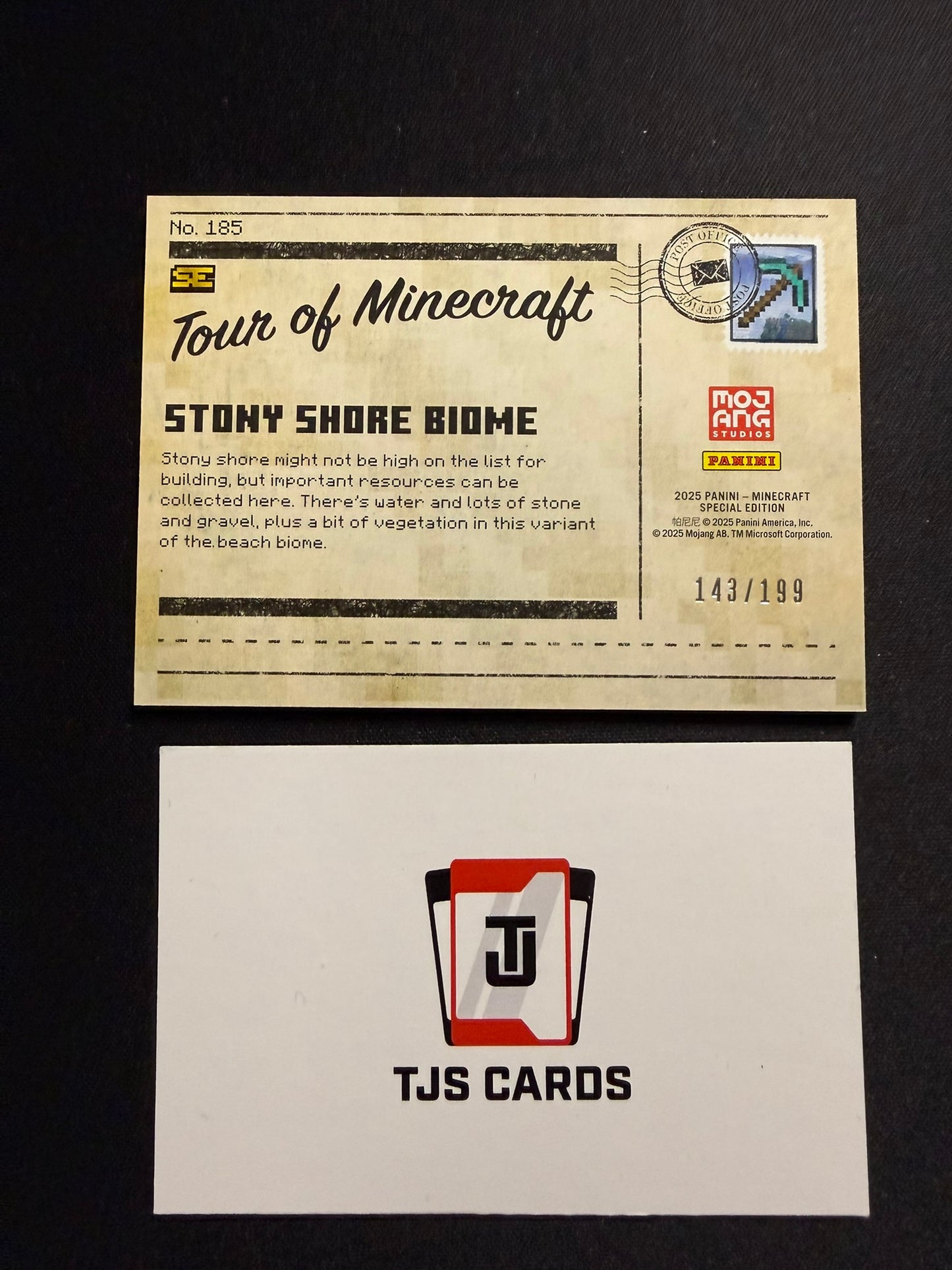 Stony Shore Biome - Tour Of Minecraft Stone /199 - Panini Minecraft Special Edition 2025