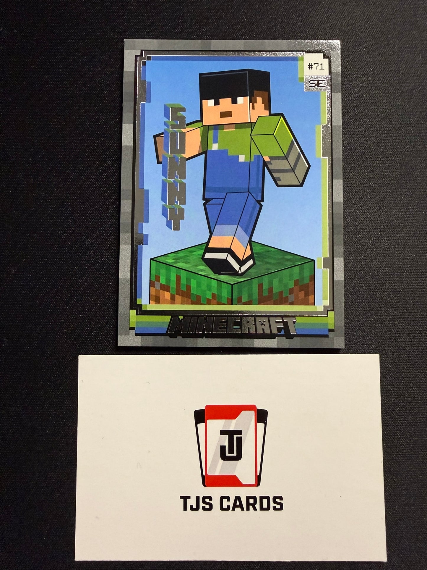 Sunny - Stone /199 - Panini Minecraft Special Edition 2025