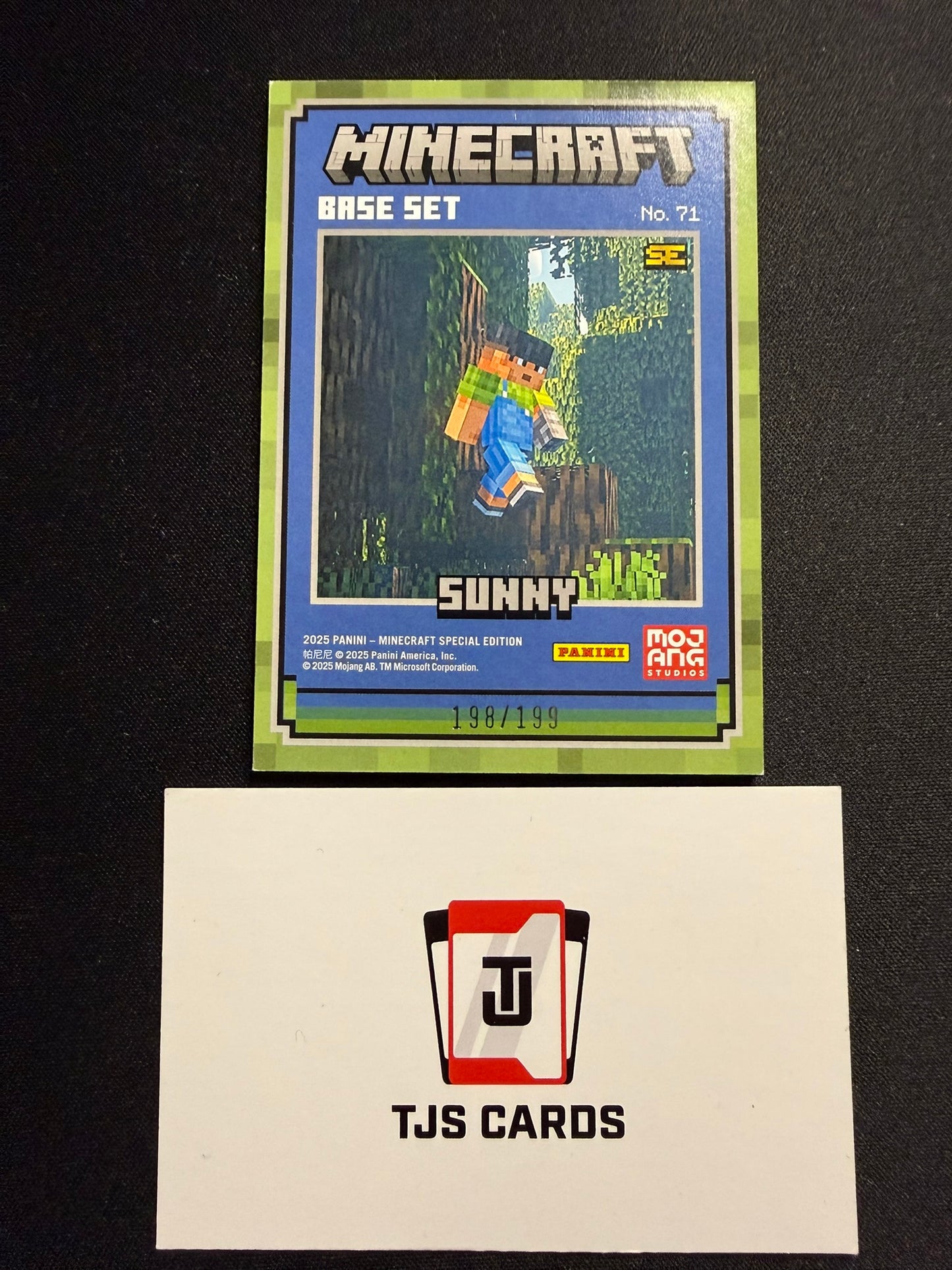 Sunny - Stone /199 - Panini Minecraft Special Edition 2025