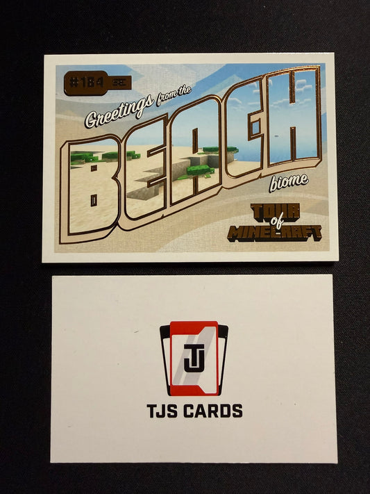 Beach Biome - Tour Of Minecraft /325 - Panini Minecraft Special Edition 2025