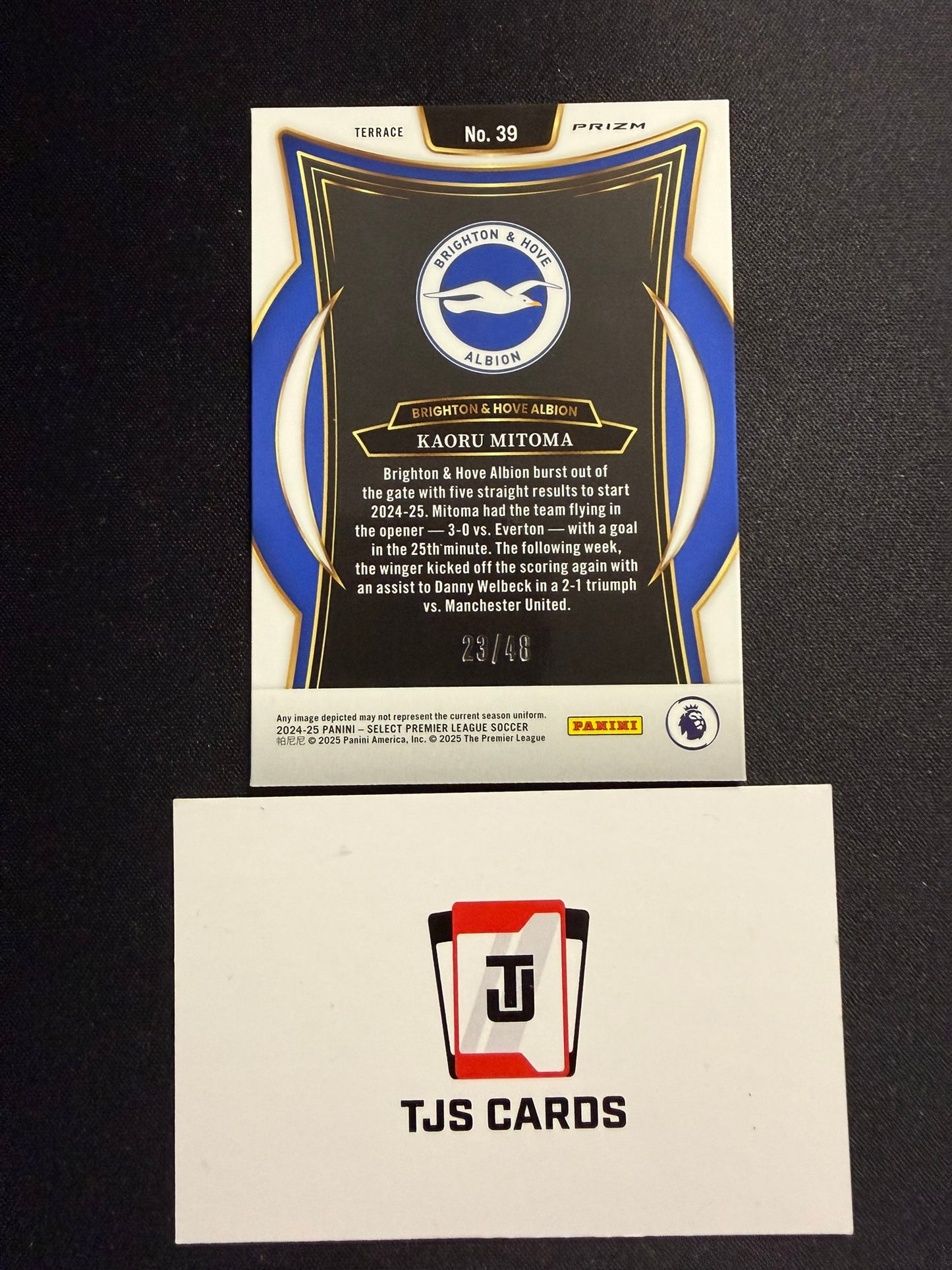 Kaoru Mitoma - Dragon Scale /48 - Panini Select Premier League 2024/25