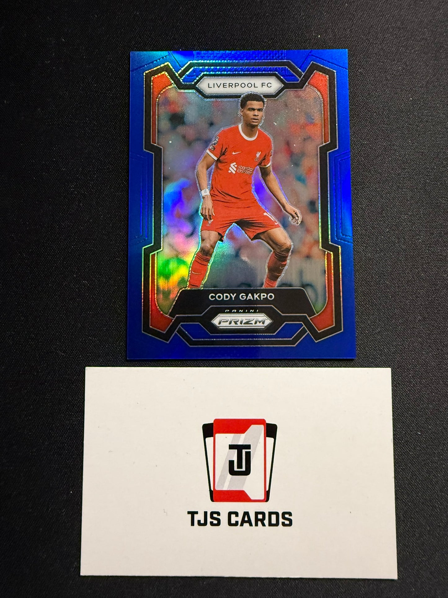 Cody Gakpo - Blue /299 - Panini Prizm Premier League 2023/24