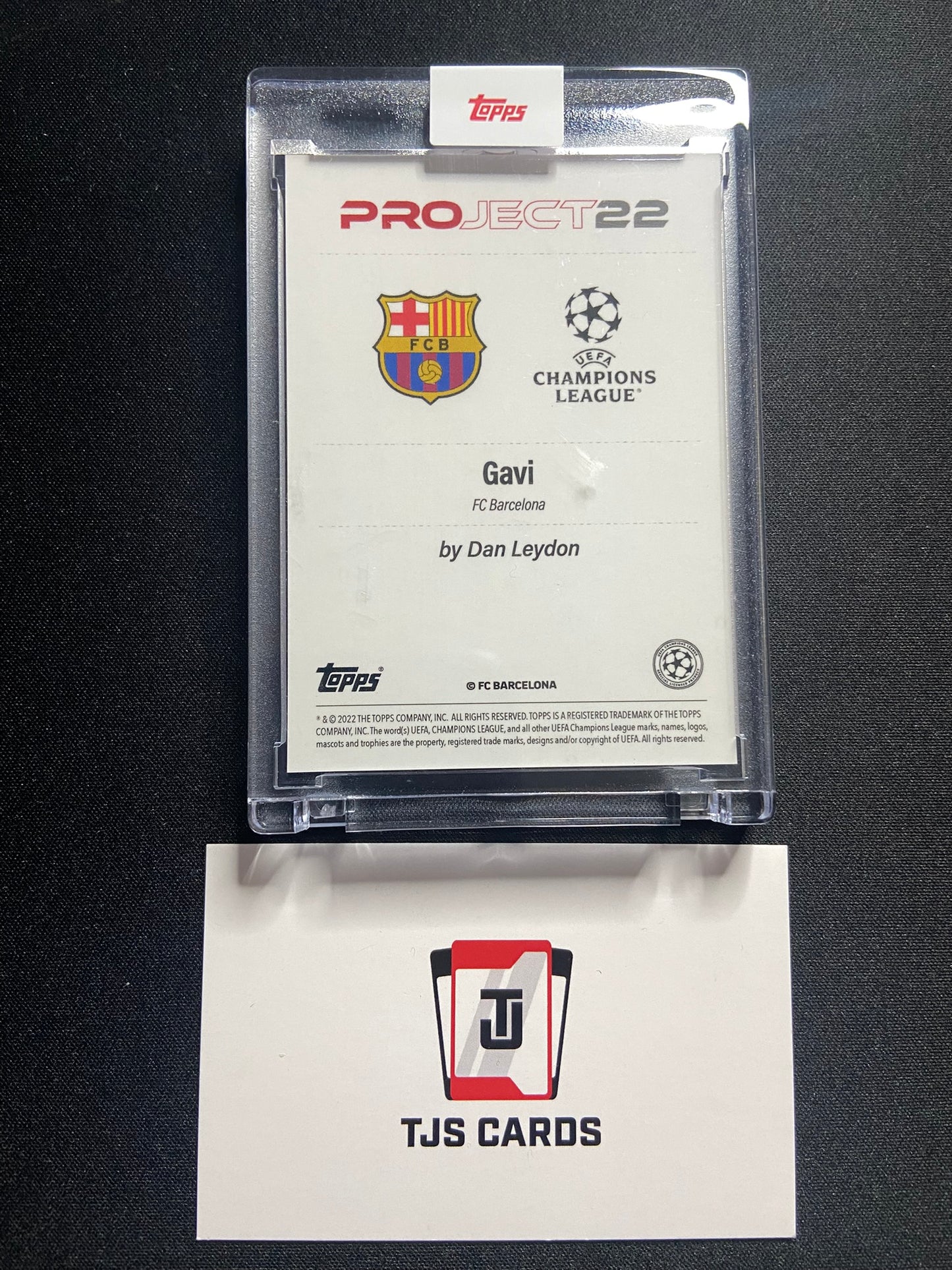 Gavi - TOPPS Project 22