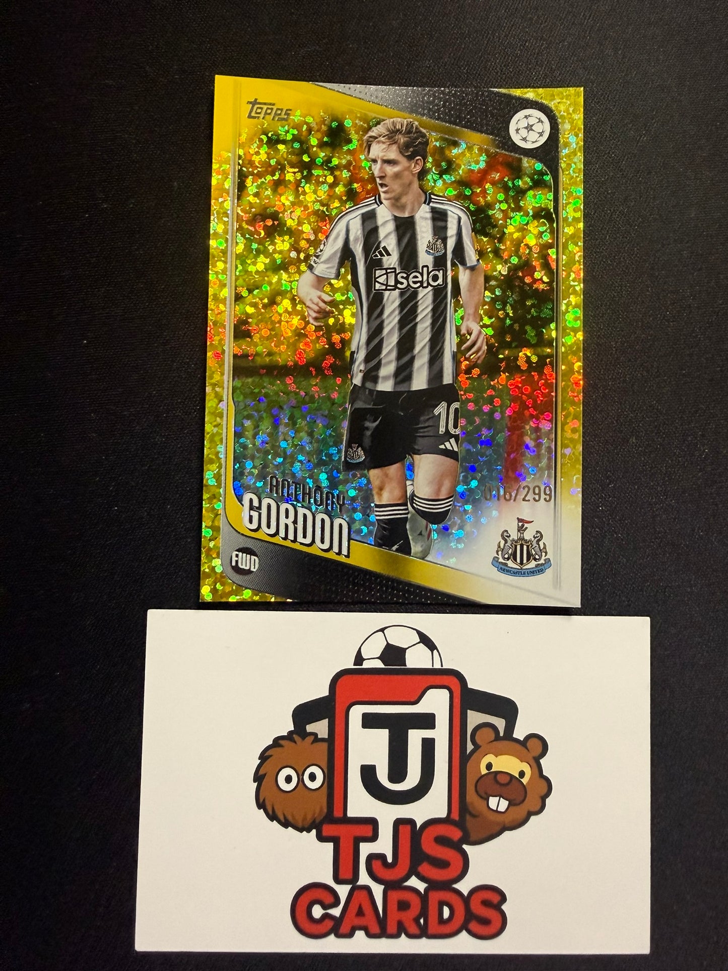 Anthony Gordon - Yellow Sparkle /299 - TOPPS UCC 2025/26