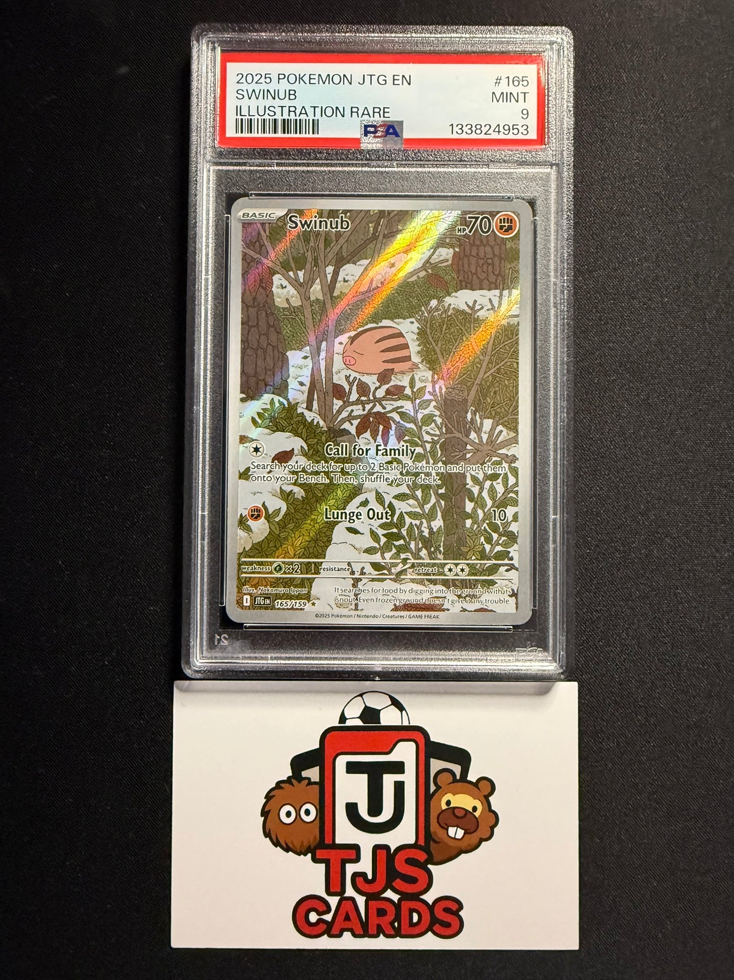 Swinub - PSA 9 - Journey Together 165/159 - Pokemon