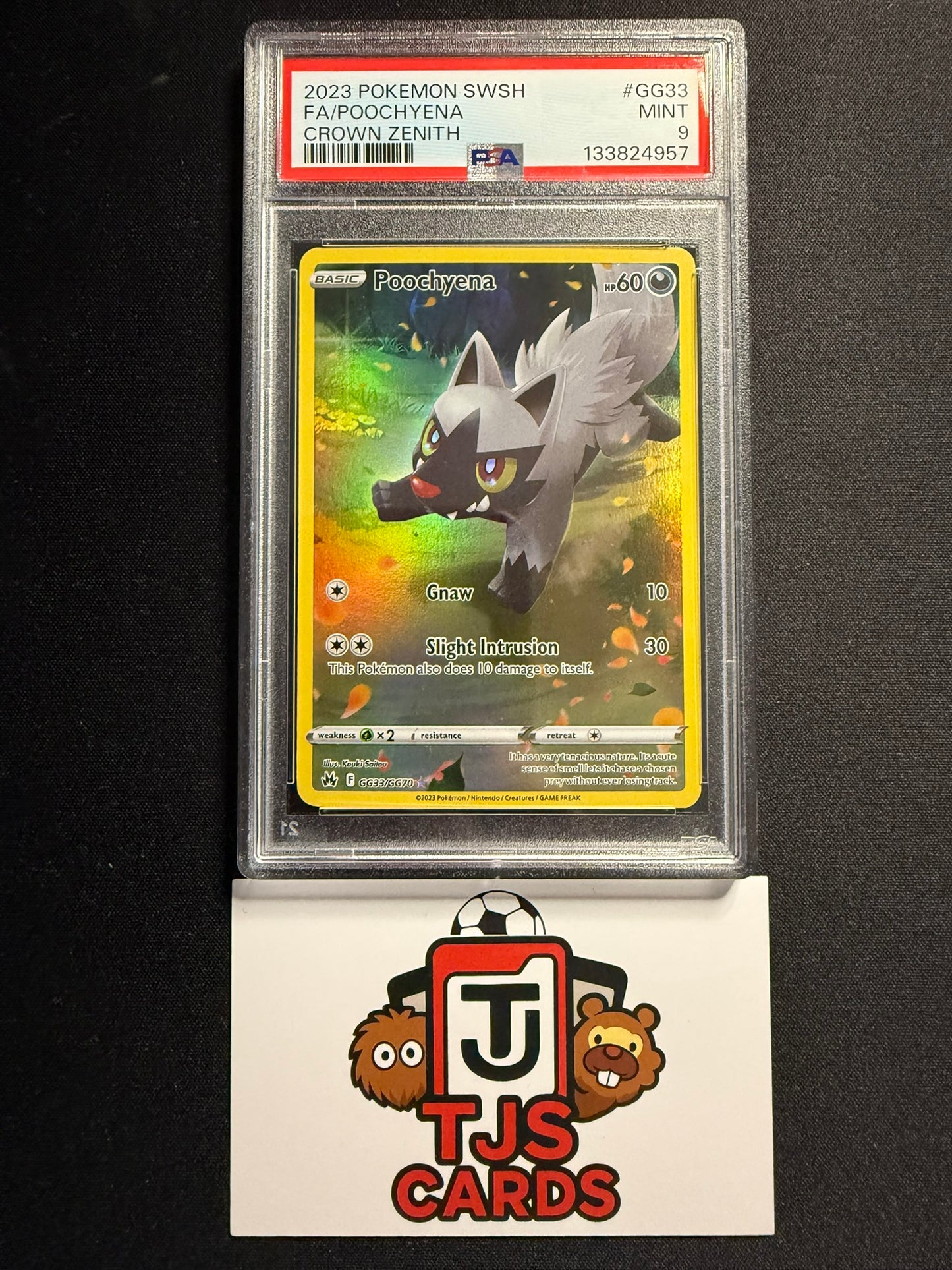 Poochyena - PSA 9 - Crown Zenith GG33/GG70 - Pokemon
