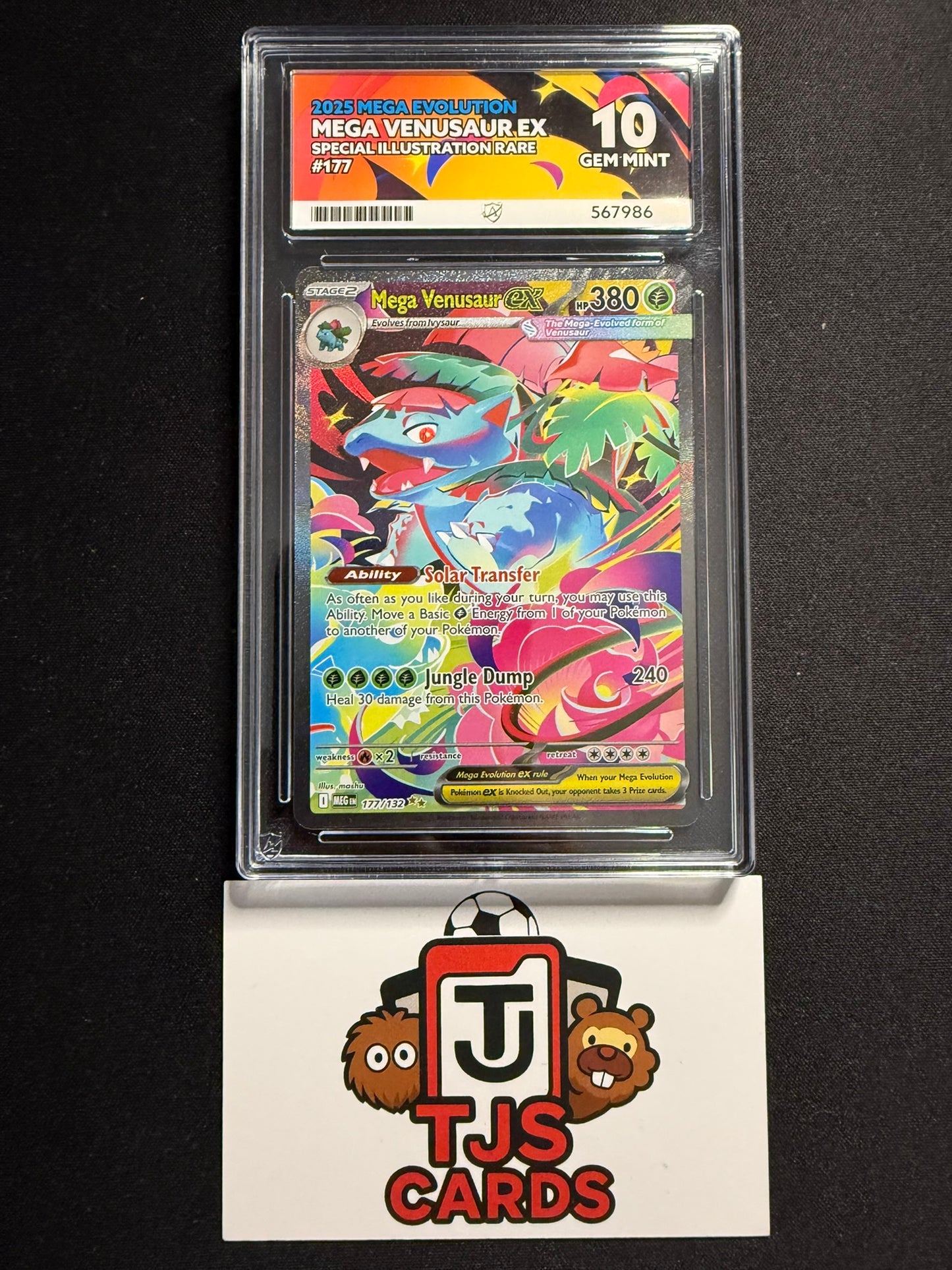 Mega Venusaur ex - ACE 10 - Mega Evolution 177/132 - Pokemon
