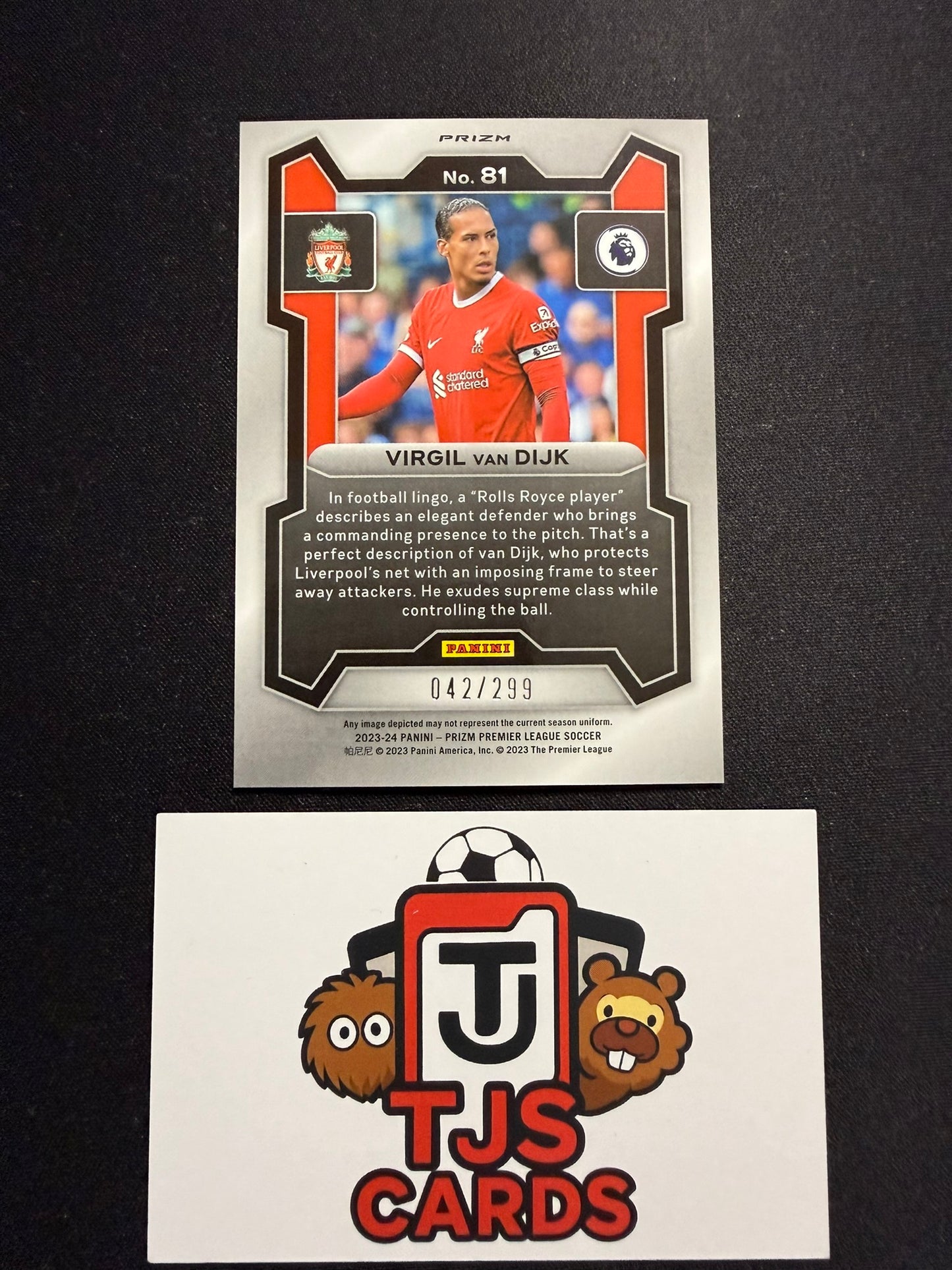 Virgil Van Dijk - Blue /299 - Panini Prizm Premier League 2023/24