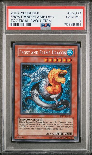 Frost And Flame Dragon - PSA 10 TAEV-EN033 - Secret Rare Tactical Evolution - YuGiOh